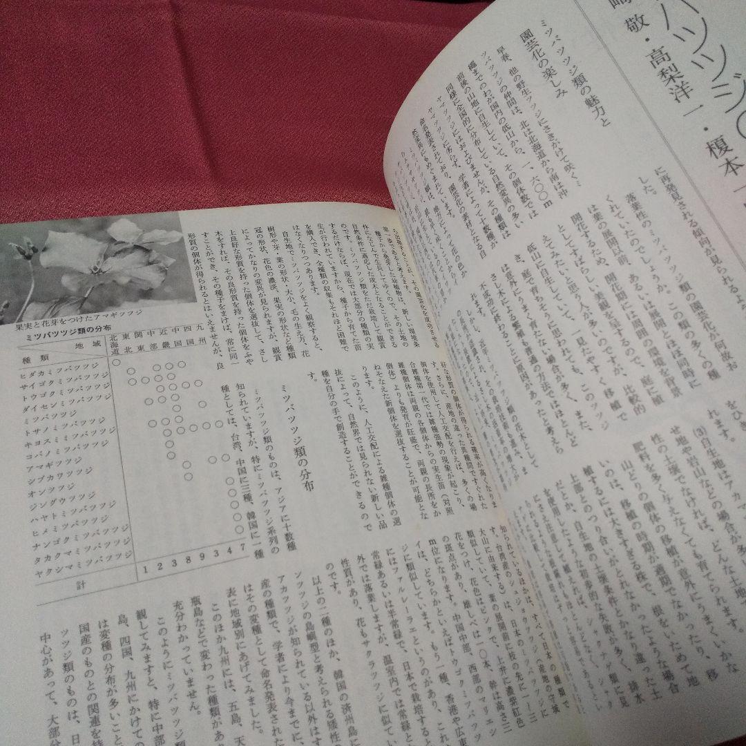 『ガーデンシリーズ ツツジ その種類と栽培』第１版 誠文堂新光社 ガーデンライフ