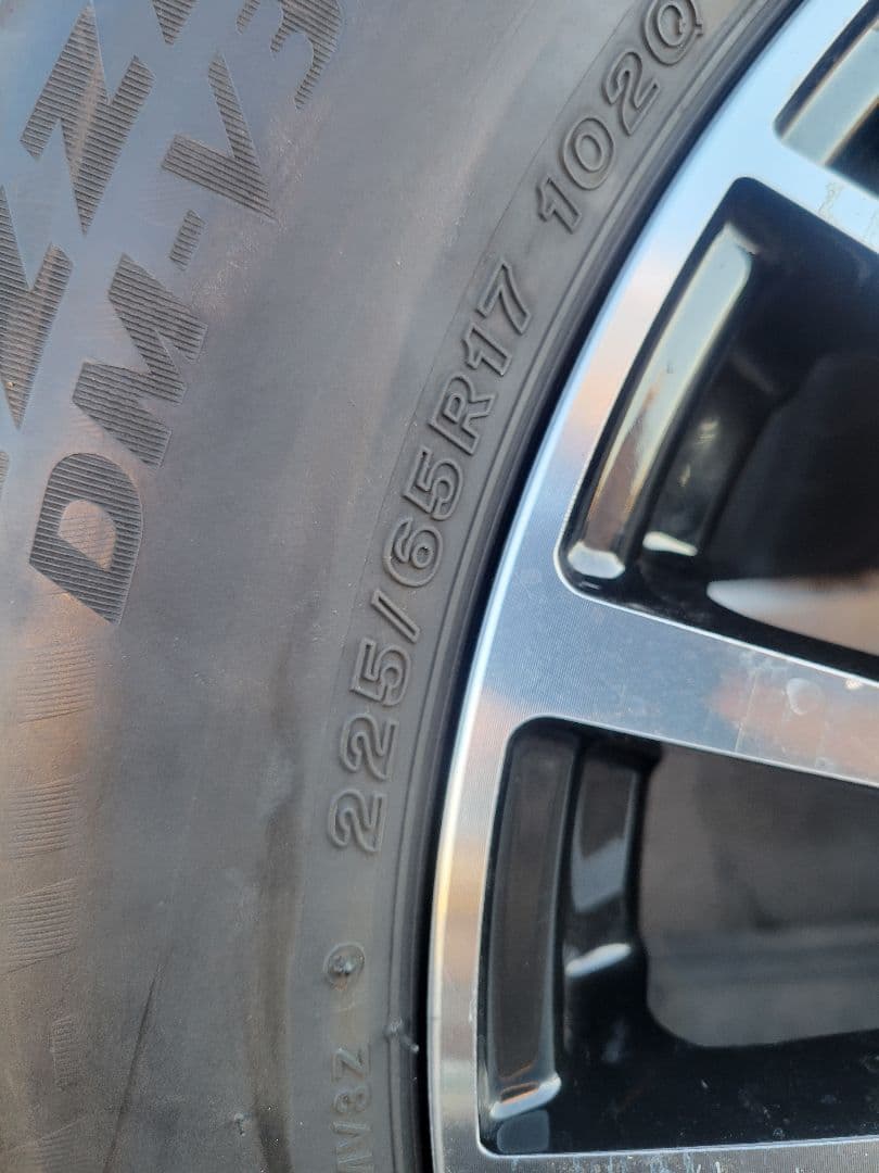 BRIDGESTONE DM-V3 ブラポリホイールSET