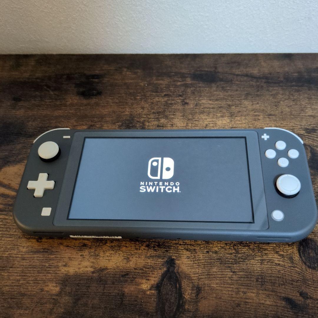 Switch Lite 本体 ケース付き