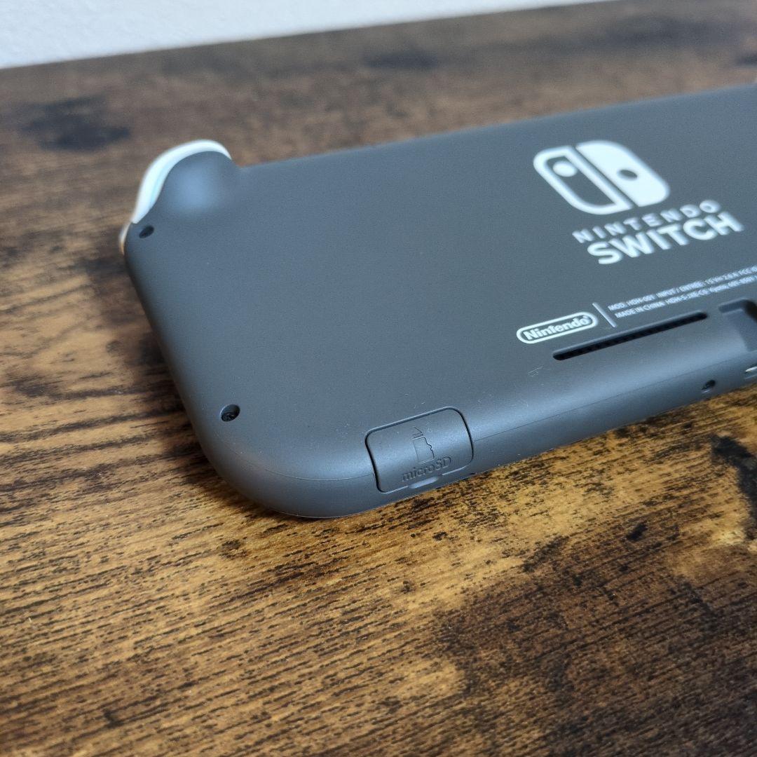 Switch Lite 本体 ケース付き