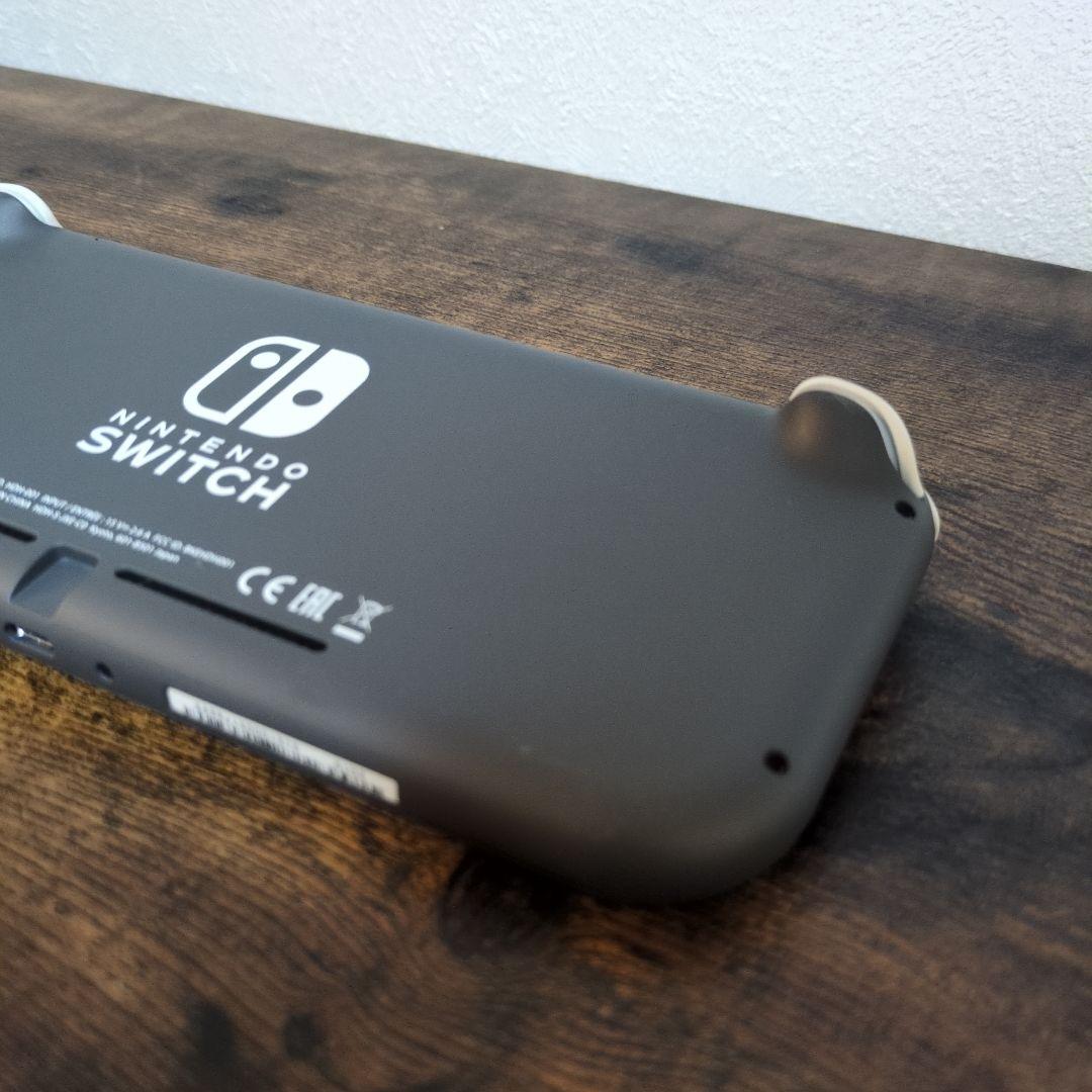 Switch Lite 本体 ケース付き