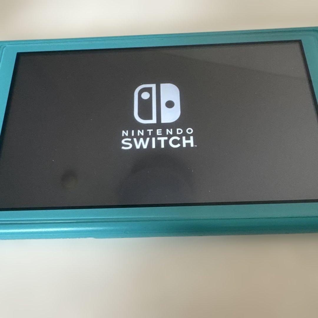 Switch light ジャンク