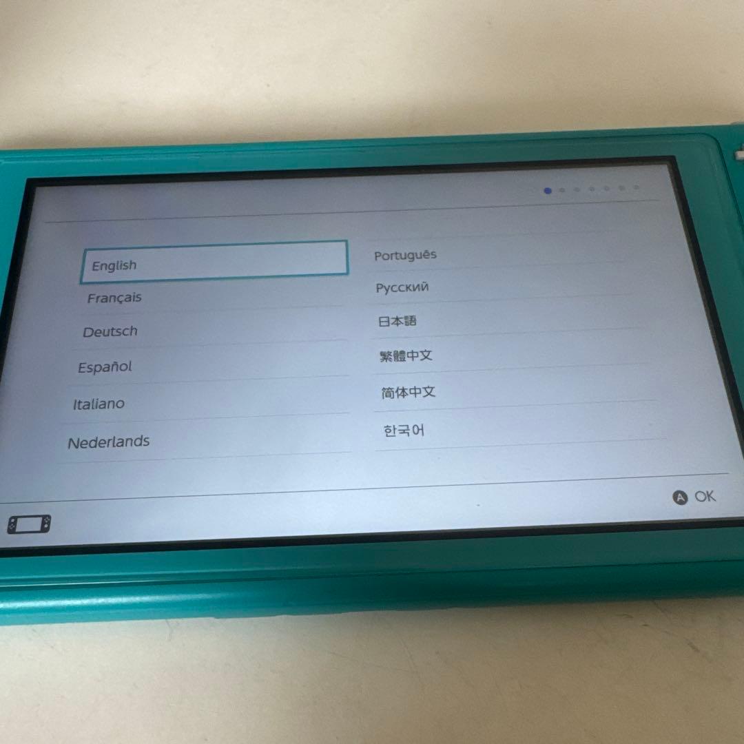 Switch light ジャンク