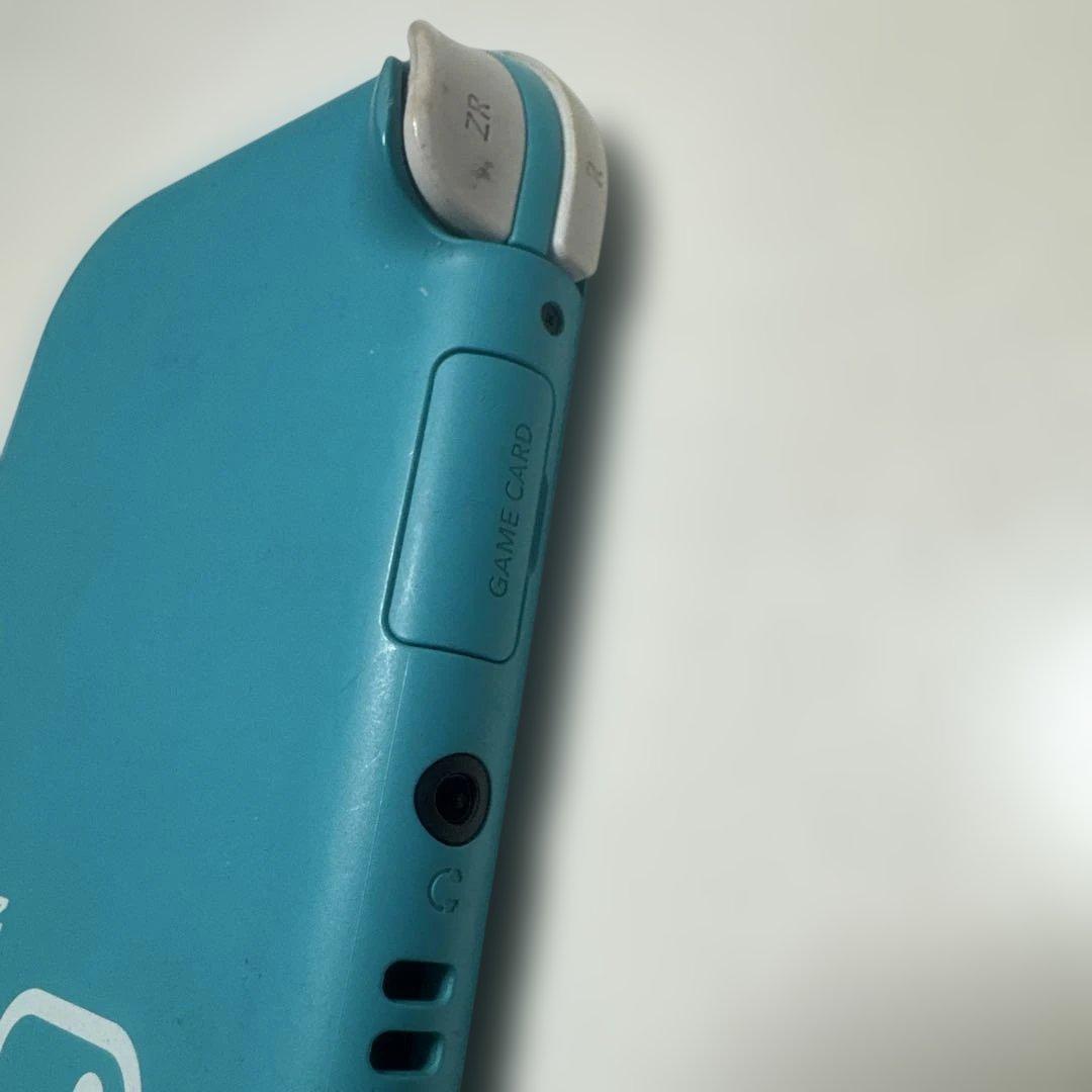 Switch light ジャンク