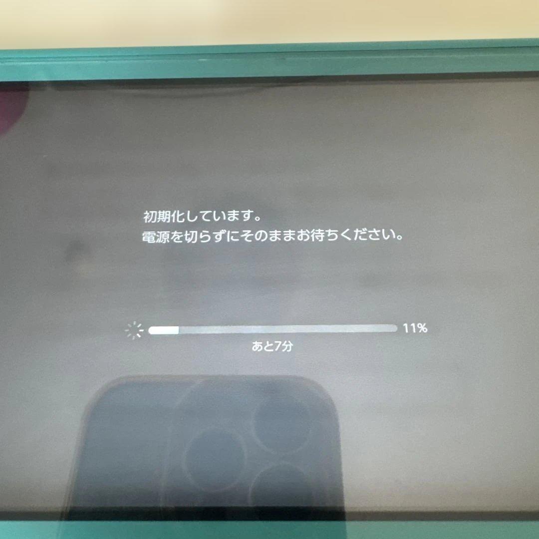 Switch light ジャンク