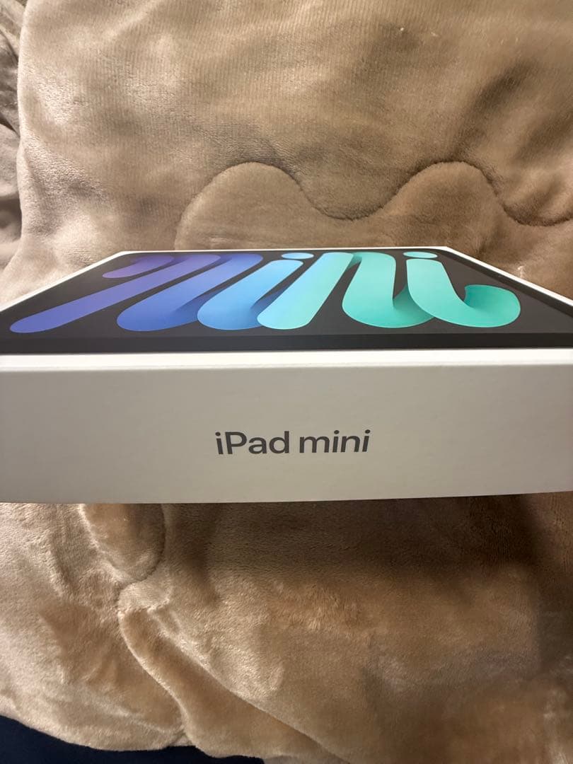iPad mini 第6世代 64GB Wi-Fi 美品 ケース付き 動作良好