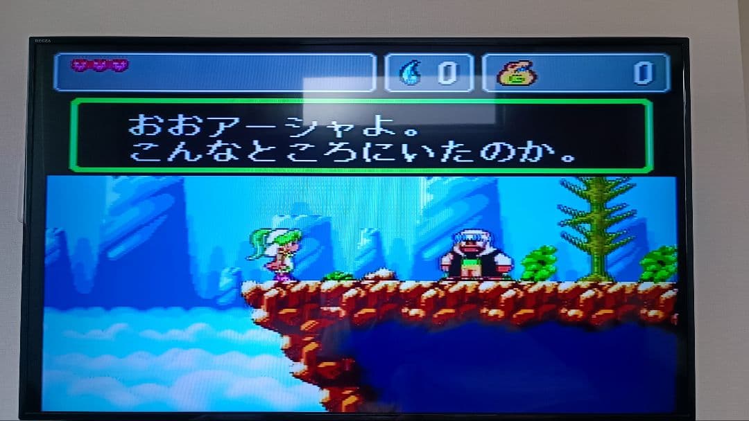 モンスターワールド4 メガドライブ専用　レアソフト