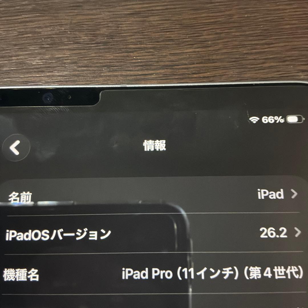 iPad Pro 11inch Cellular 256GB ペン付 2022