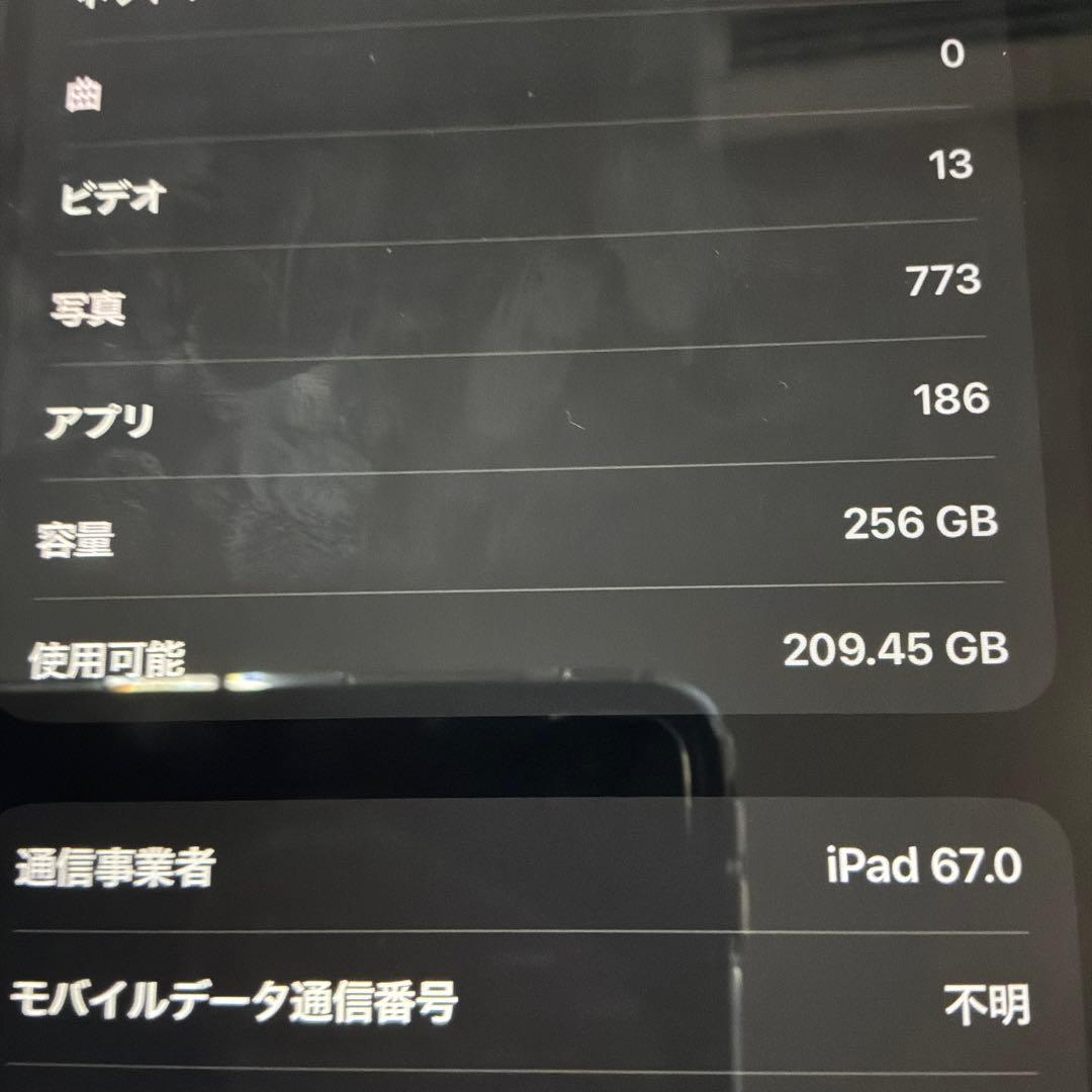 iPad Pro 11inch Cellular 256GB ペン付 2022