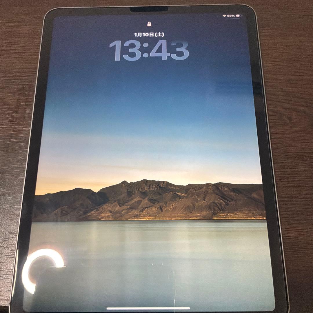 iPad Pro 11inch Cellular 256GB ペン付 2022