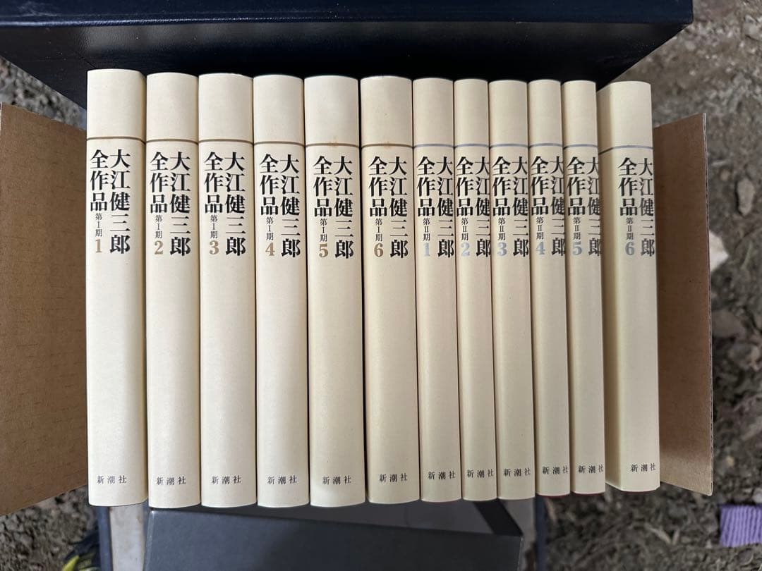大江健三郎全作品 12冊セット