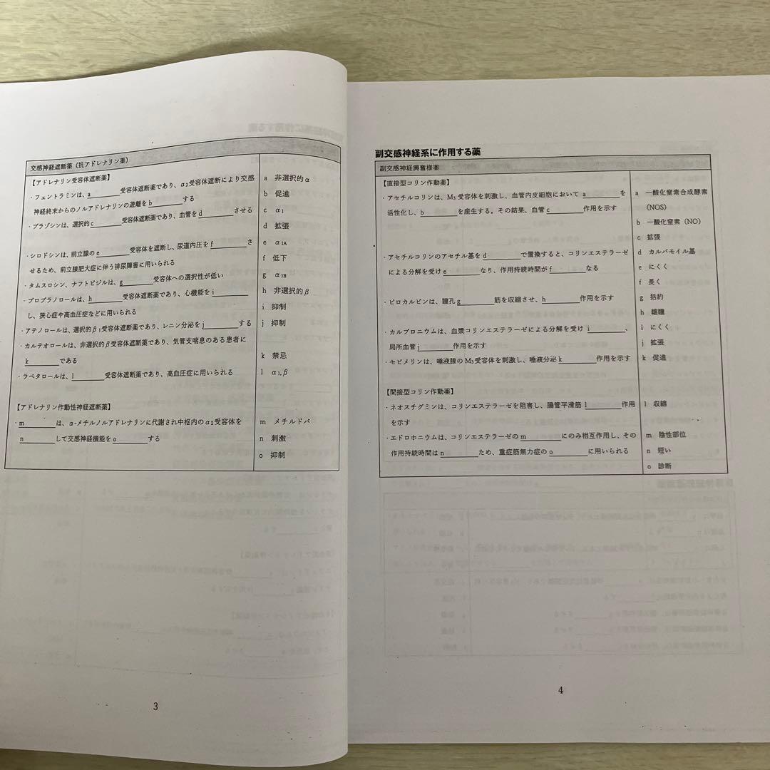 薬理振り返りプリント 111回　薬剤師国家試験　薬学ゼミナール　非売品
