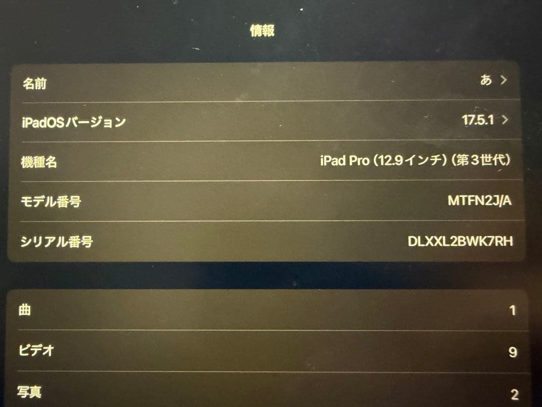 iPad Pro 12.9インチ 第3世代 256GB Apple Pencil