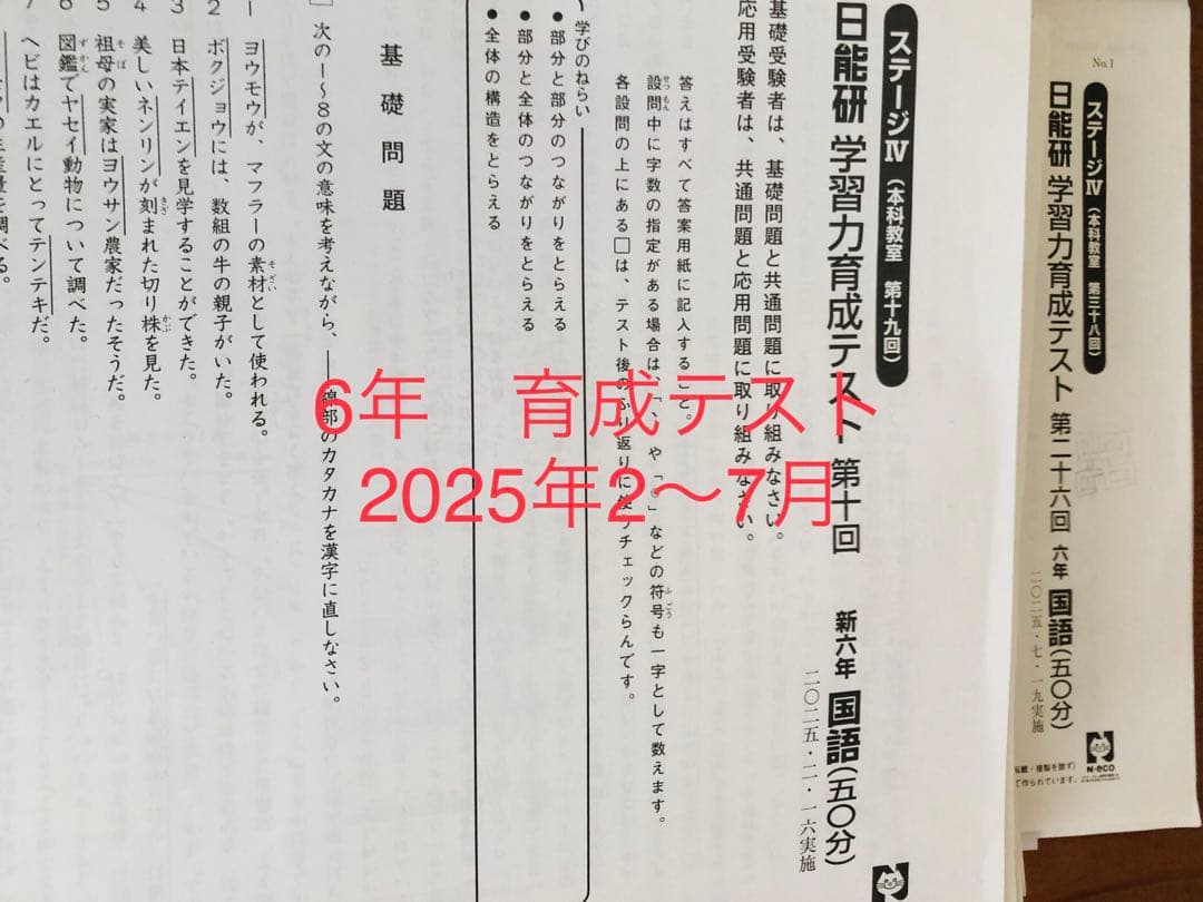 最新版 日能研6年生2025年度 前期育成テスト17回分&夏期講習テスト1234