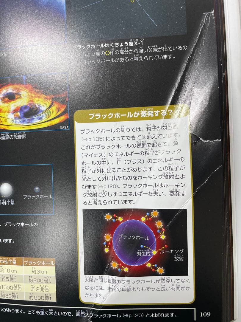絵本まとめ売り　プレneo 小学館の図鑑neo 13冊　セット