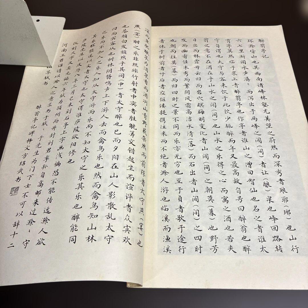 酔翁亭記