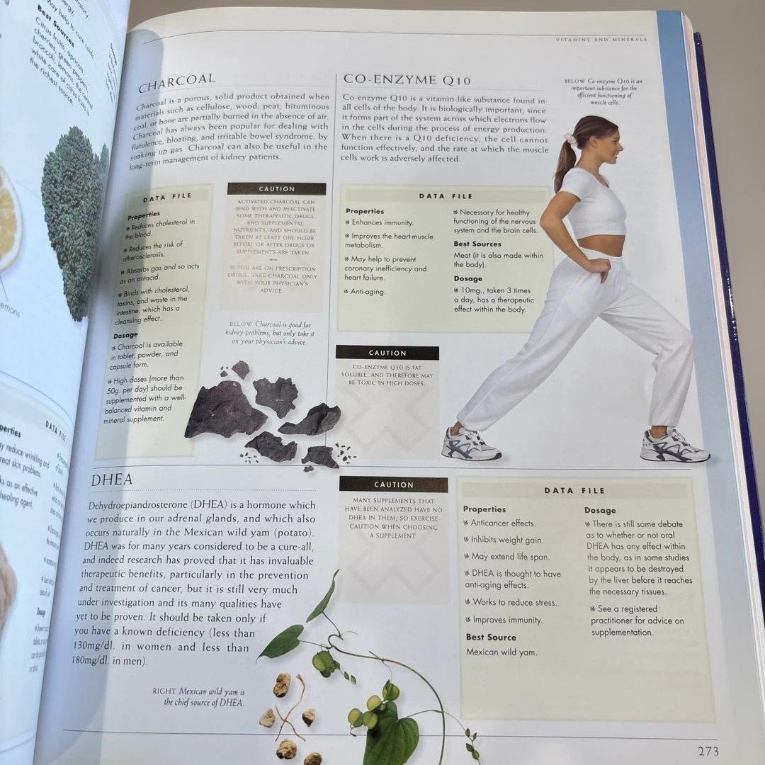 健康・医学 Healing Remedies - C. Norman Shealy