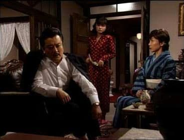 【専用】真珠夫人 DVD 全9巻　たわしコロッケ　横山 めぐみ　菊池 寛