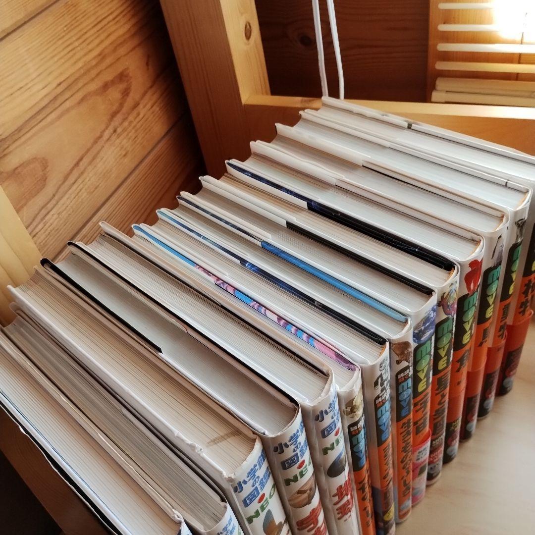 図鑑14冊　MOVE　小学館NEO