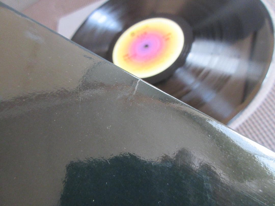 ★スティーリー・ダン / 彩★STEELY DAN◇Promo◇帯付日本盤