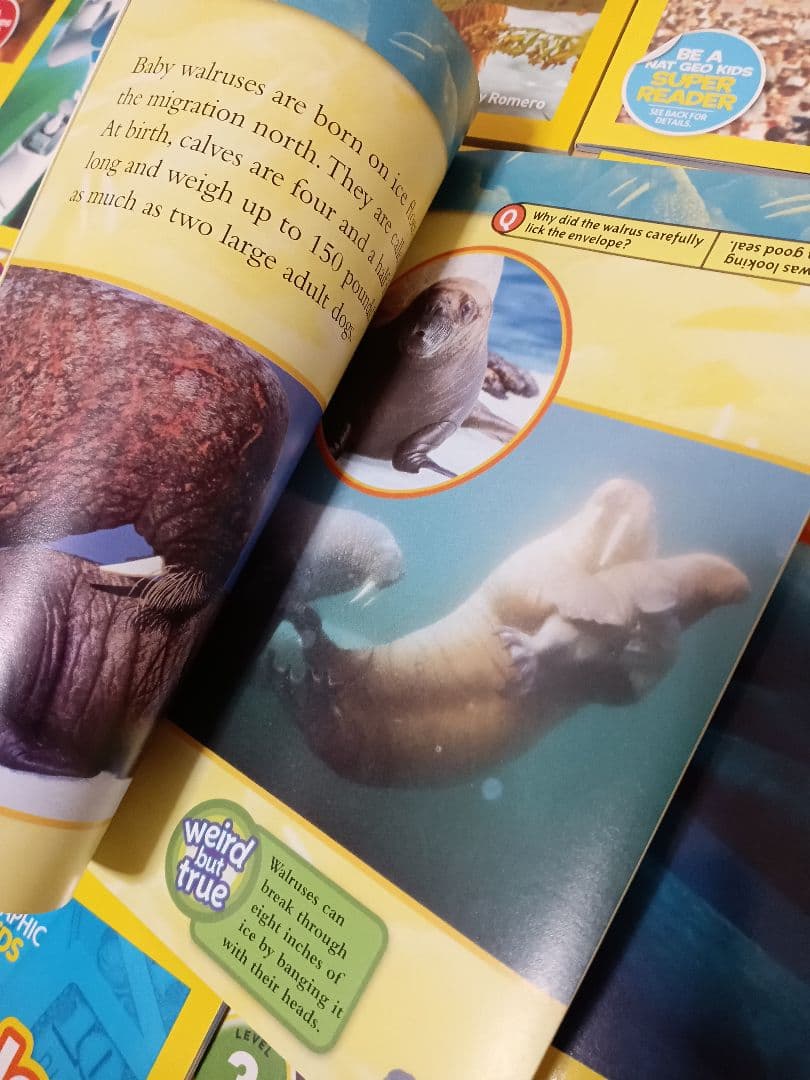 在庫処分38冊★NATIONAL GEOGRAPHIC KIDS レベル3