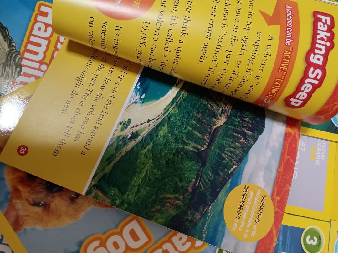 在庫処分38冊★NATIONAL GEOGRAPHIC KIDS レベル3