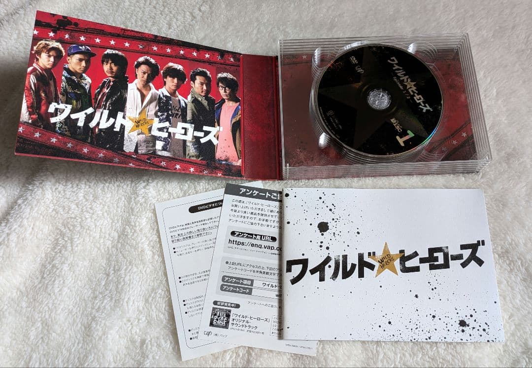 ワイルド・ヒーローズ DVD BOX