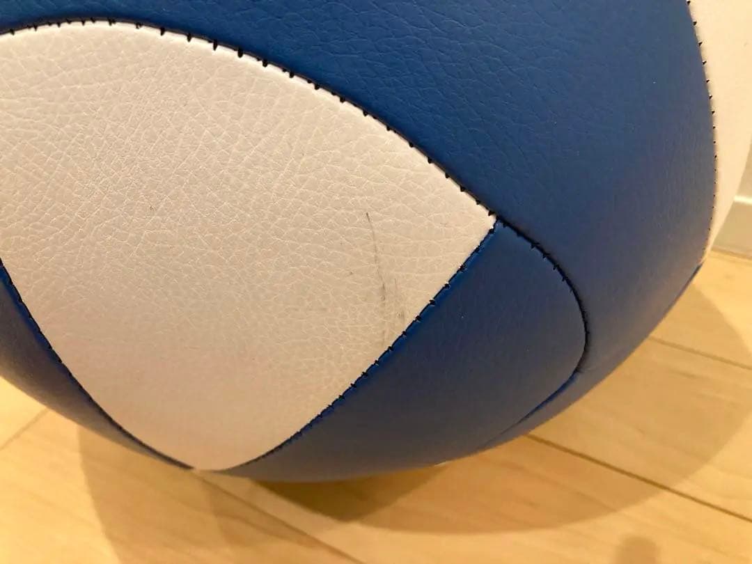 NISHI(ニシ・スポーツ) メガソフトメディシンボール3kg