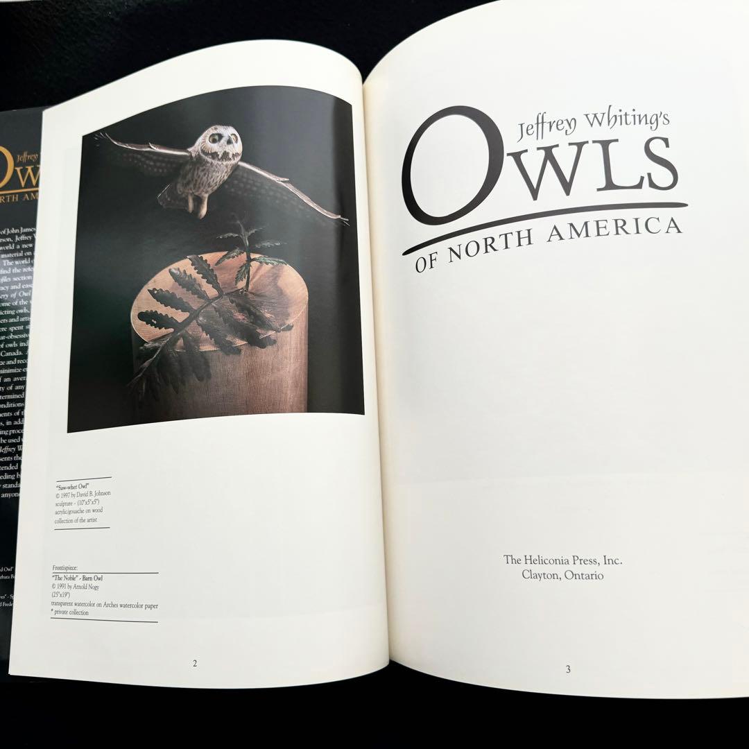 北米のフクロウ 絵画と彫刻 作品集「Owls of North America」
