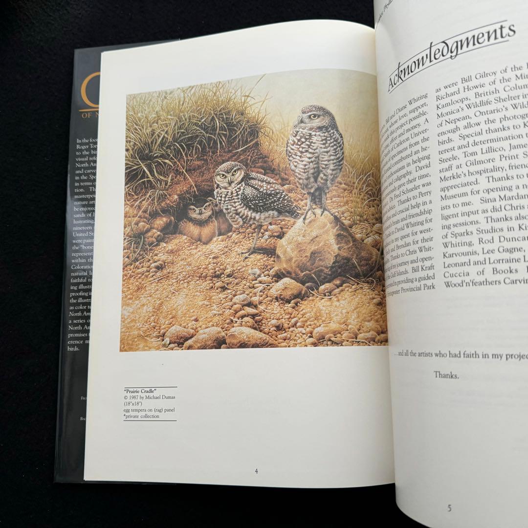 北米のフクロウ 絵画と彫刻 作品集「Owls of North America」