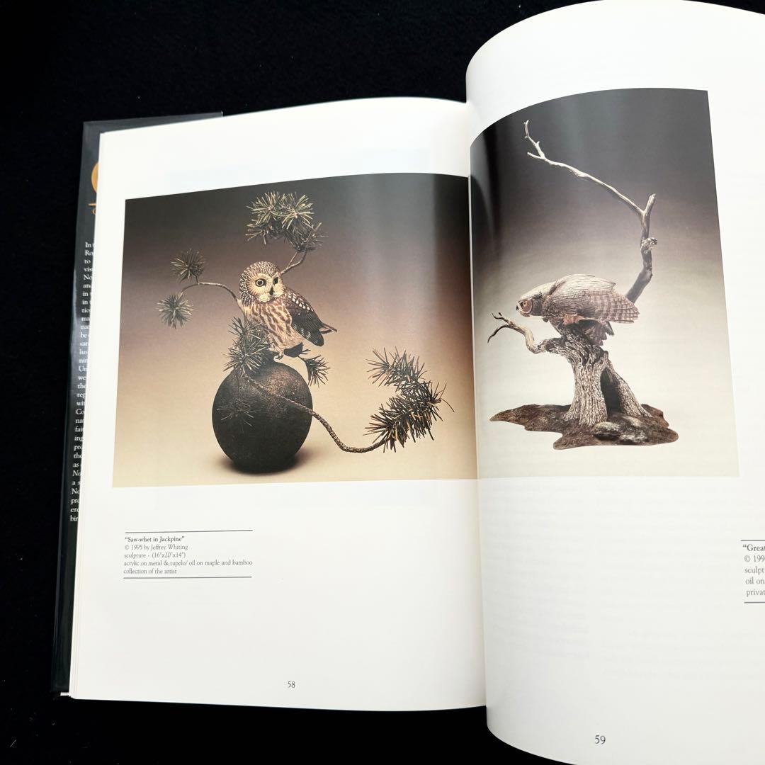 北米のフクロウ 絵画と彫刻 作品集「Owls of North America」