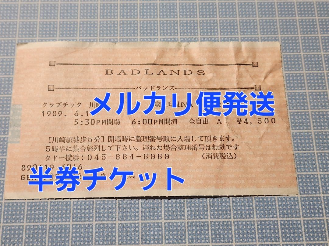 JakeE.Lee BADLANDS 輸入盤レコード パンフレット 半券チケット