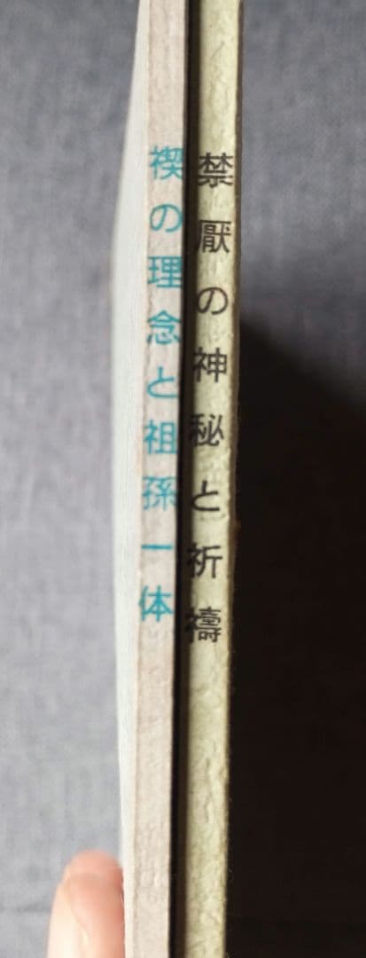 禁厭の神秘と祈祷の極意/禊の理念と祖孫一体　宇佐美景堂