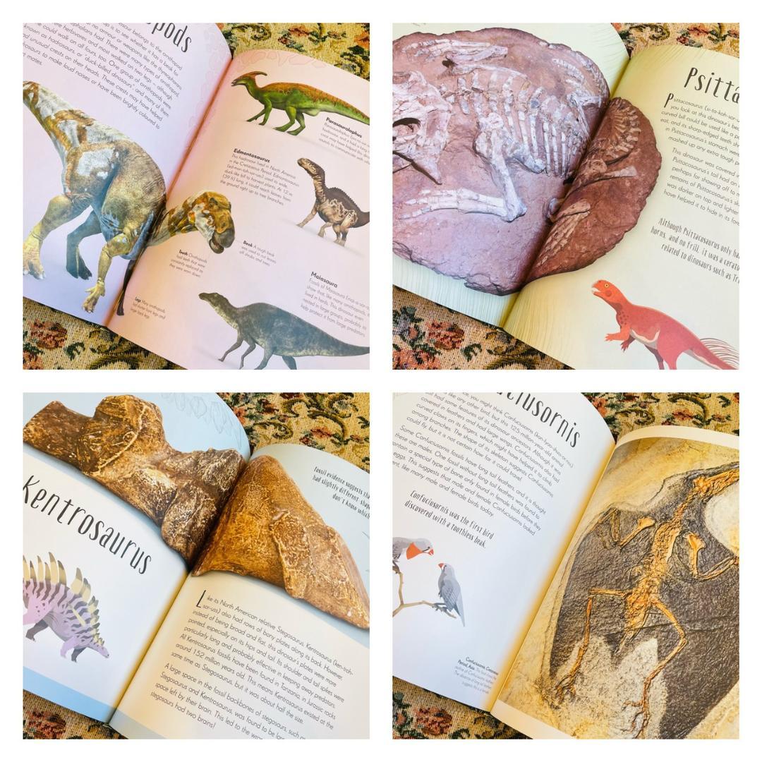 新品洋書　教養教育　博物館　辞書　辞典　恐竜　ダイナソー　Dinosaur