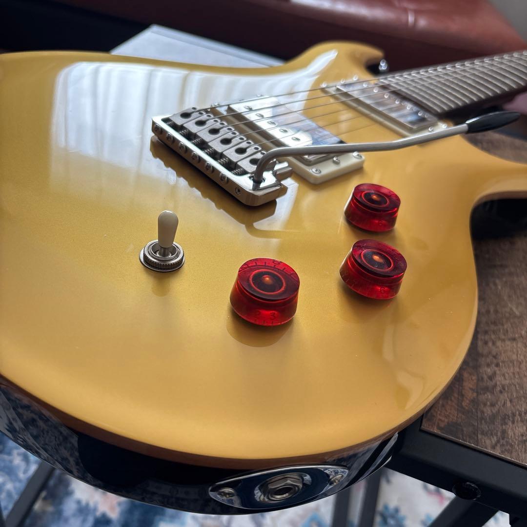 ギター PRS SE DGT