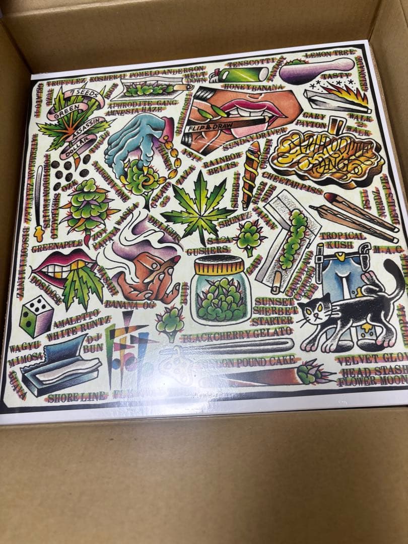 邦楽 FLIP&DRAW 7SEEDS Green Assassin Dollar