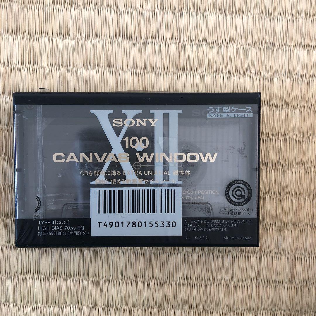 その他 (90)CANVAS WINDOW50 100