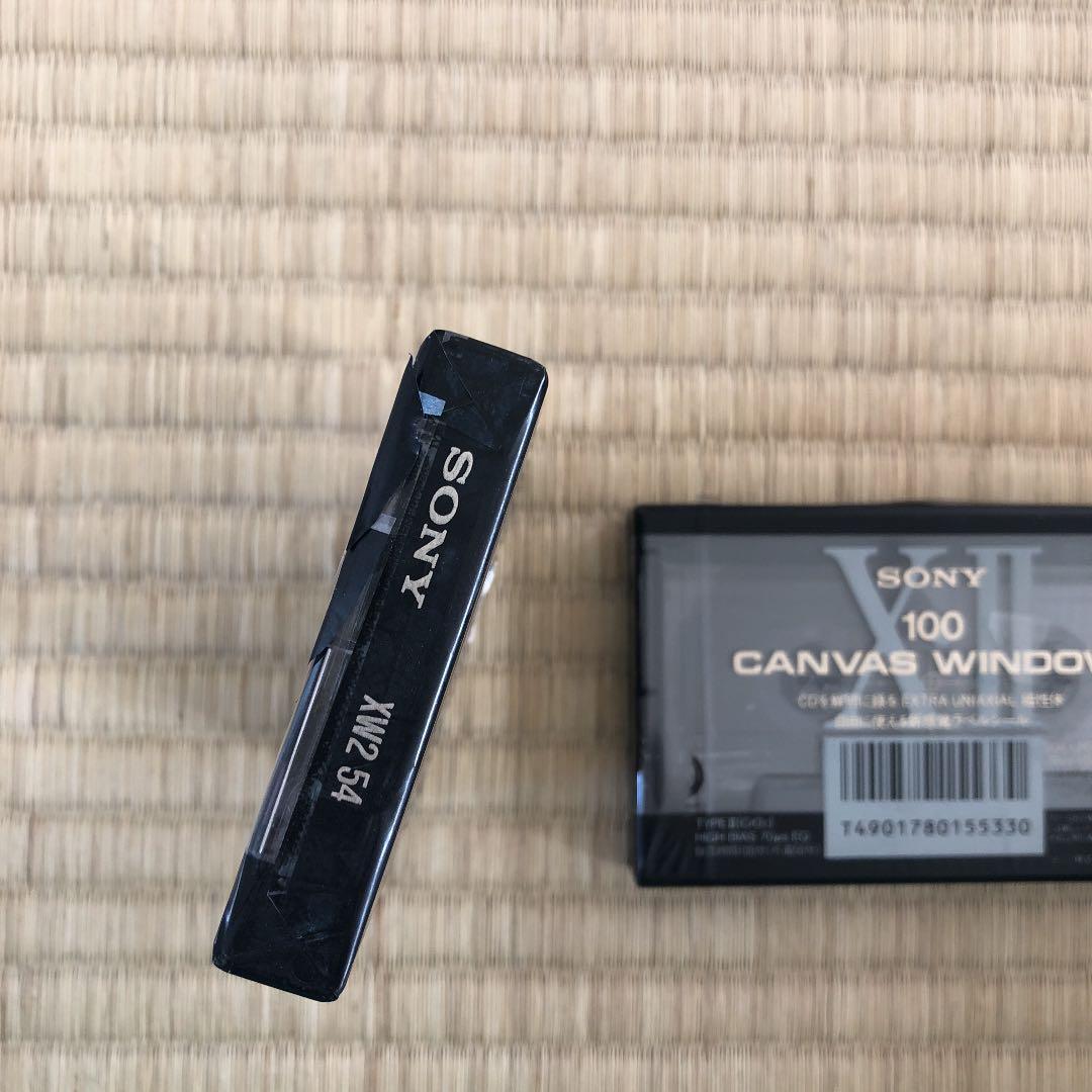 その他 (90)CANVAS WINDOW50 100