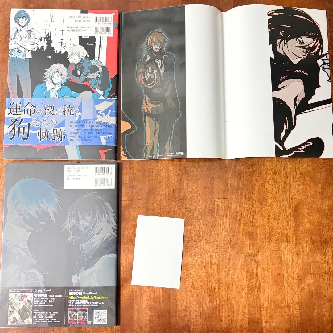 15：初版 咎狗の血 公式ビジュアルファンブック 特典 帯付き 公式ファンブック