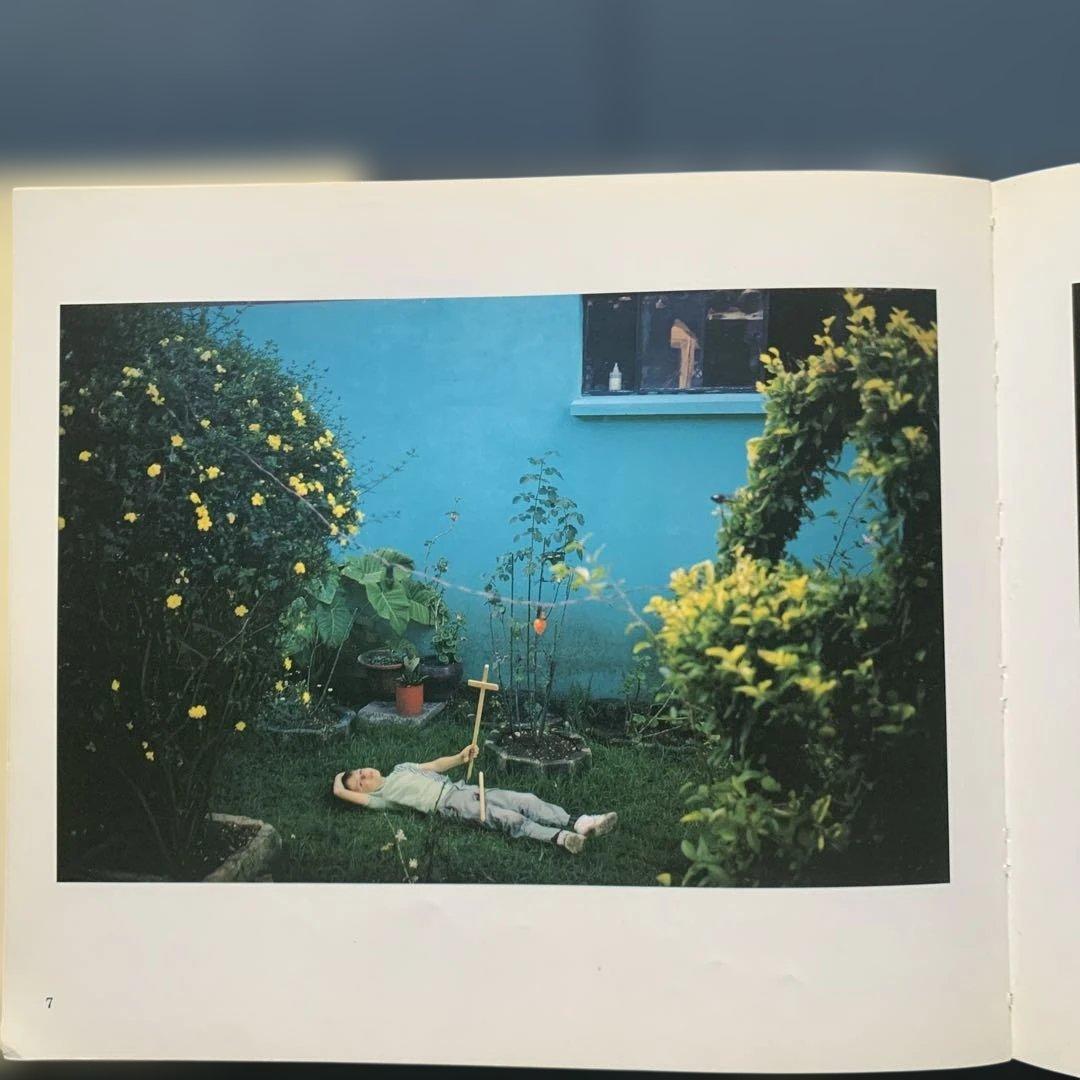 アート・デザイン・音楽 Joel Meyerowitz Wild Flowers
