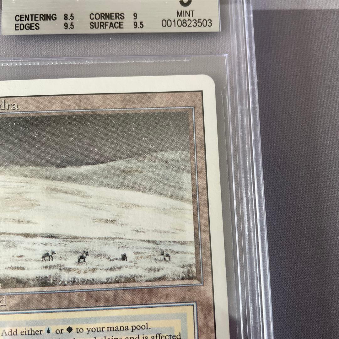 MTG (英)Tundra (Revised版) BGS9