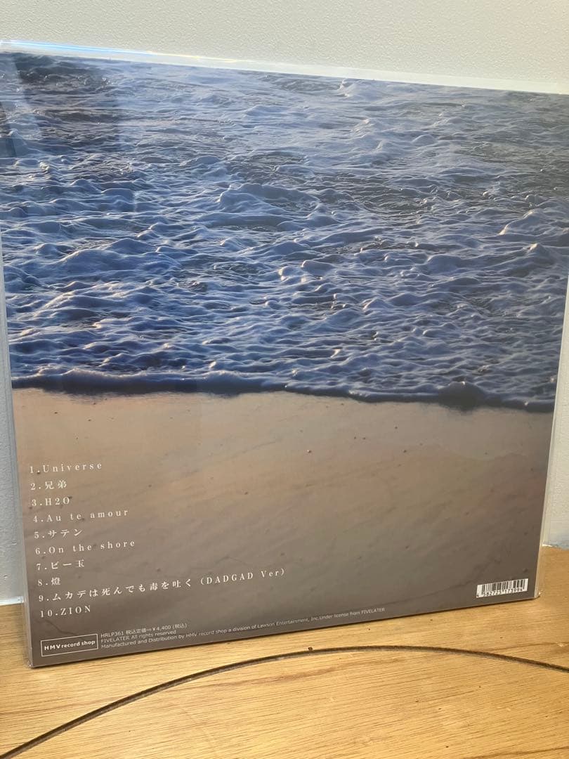 踊ってばかりの国／On the shore LP 未開封