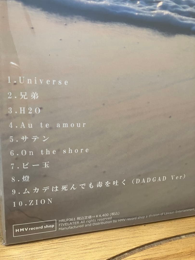 踊ってばかりの国／On the shore LP 未開封
