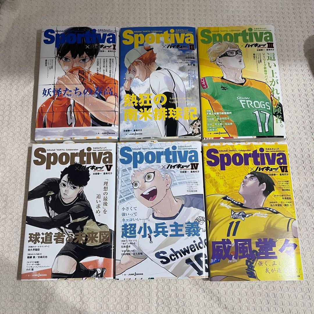 ハイキュー　ショーセツバン　ビジュアルボードセット　sportiva
