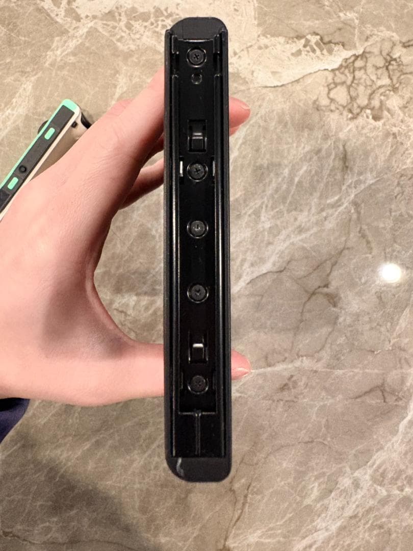 特別版 Nintendo Switch あつまれ どうぶつの森セット