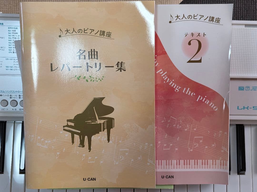 CASIO LK-516 キーボード 本体と付属品(ヘッドフォン無)