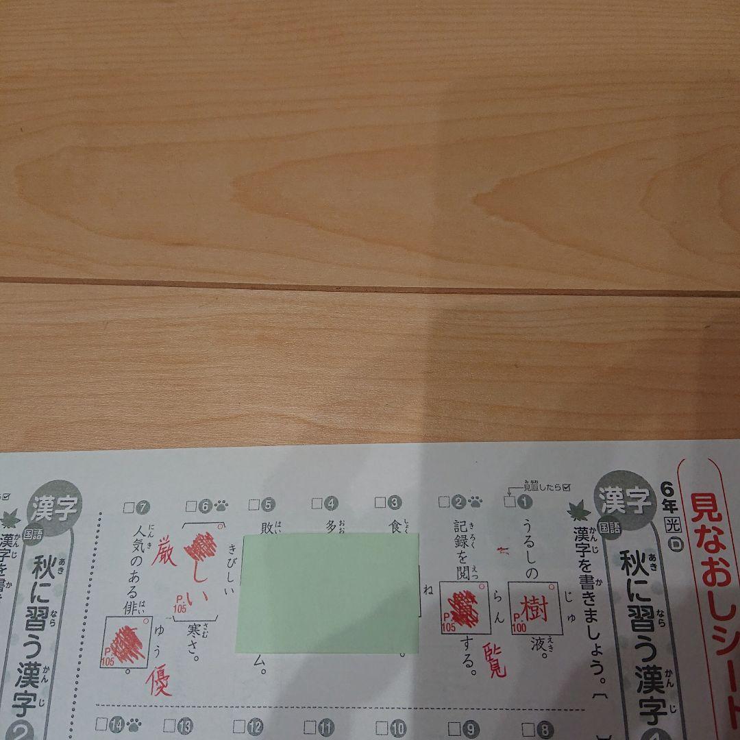 ６年 国語 カラーテスト