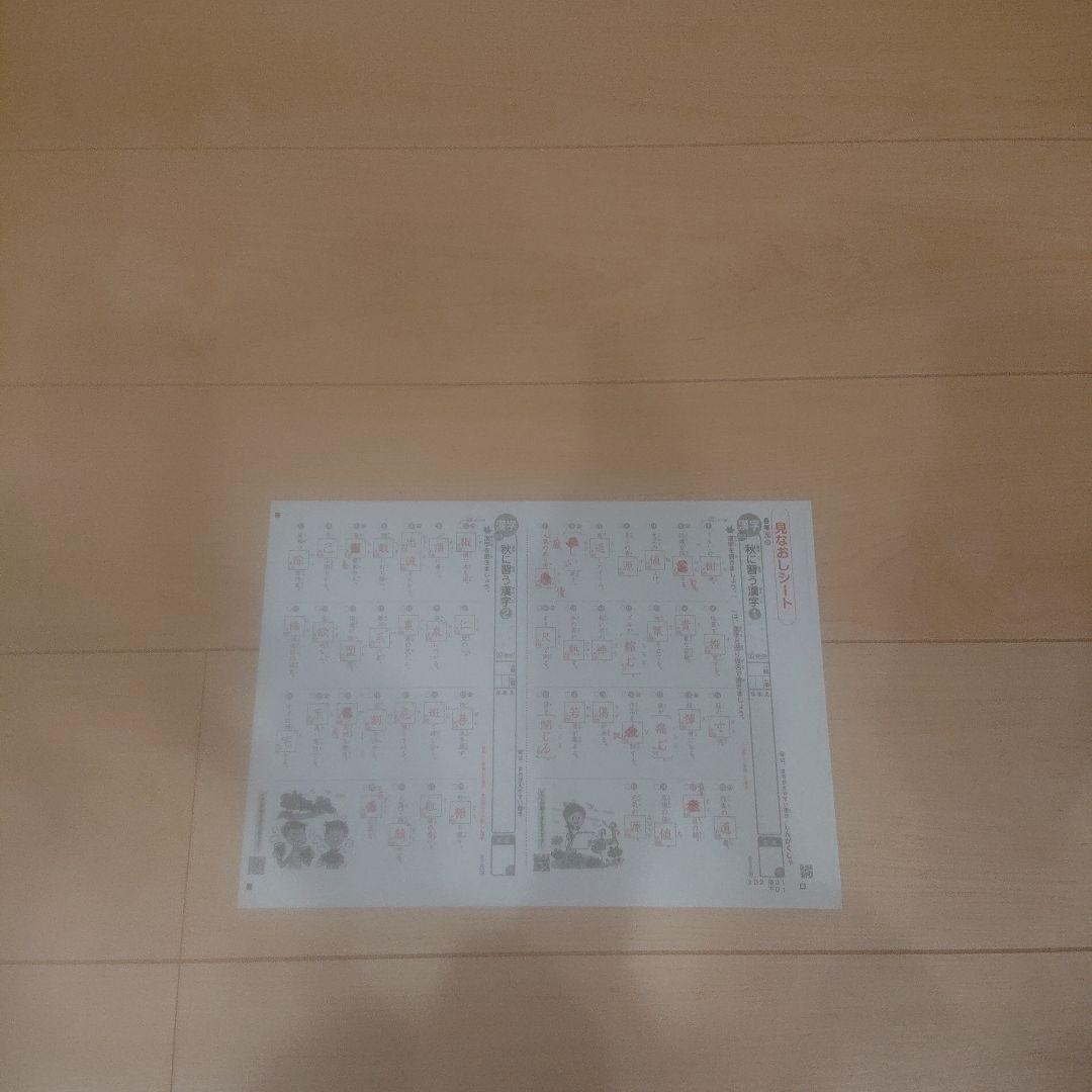 ６年 国語 カラーテスト
