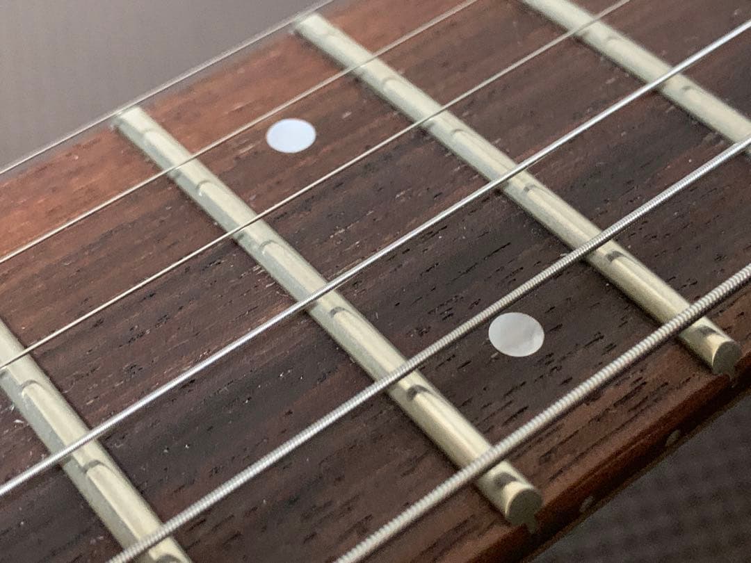FERNANDES フェルナンデス APG-85S サスティナー ジャンク 希少
