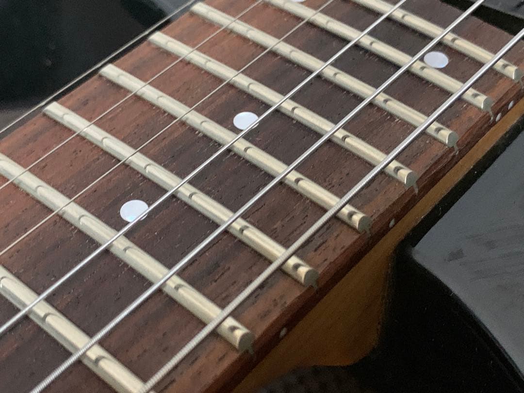 FERNANDES フェルナンデス APG-85S サスティナー ジャンク 希少